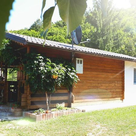 Studio Apartman Firdaus-Bihac, Dobrenica Bb Bihać Exterior foto