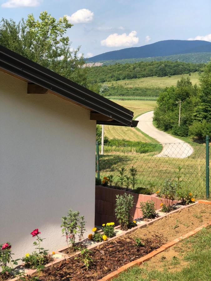 Studio Apartman Firdaus-Bihac, Dobrenica Bb Bihać Exterior foto