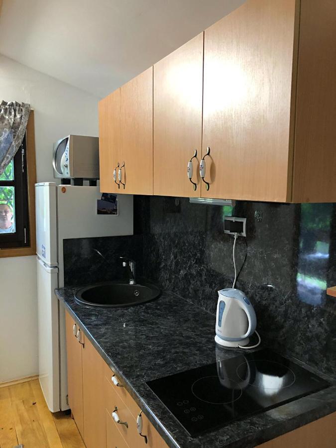 Studio Apartman Firdaus-Bihac, Dobrenica Bb Bihać Exterior foto